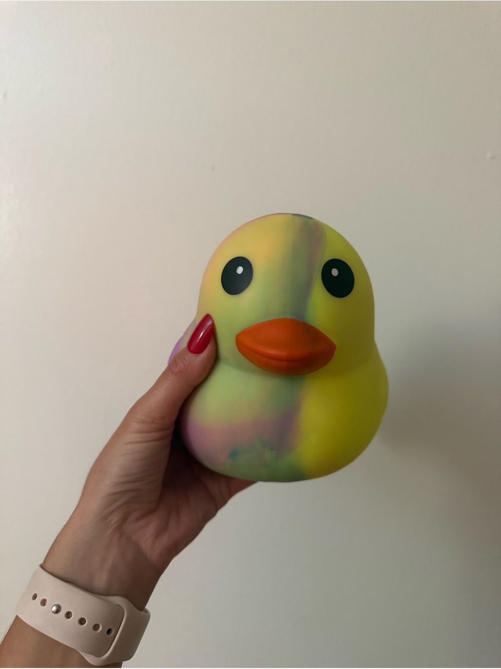 Squeeezy Multicolor Rubber Duck Squishy